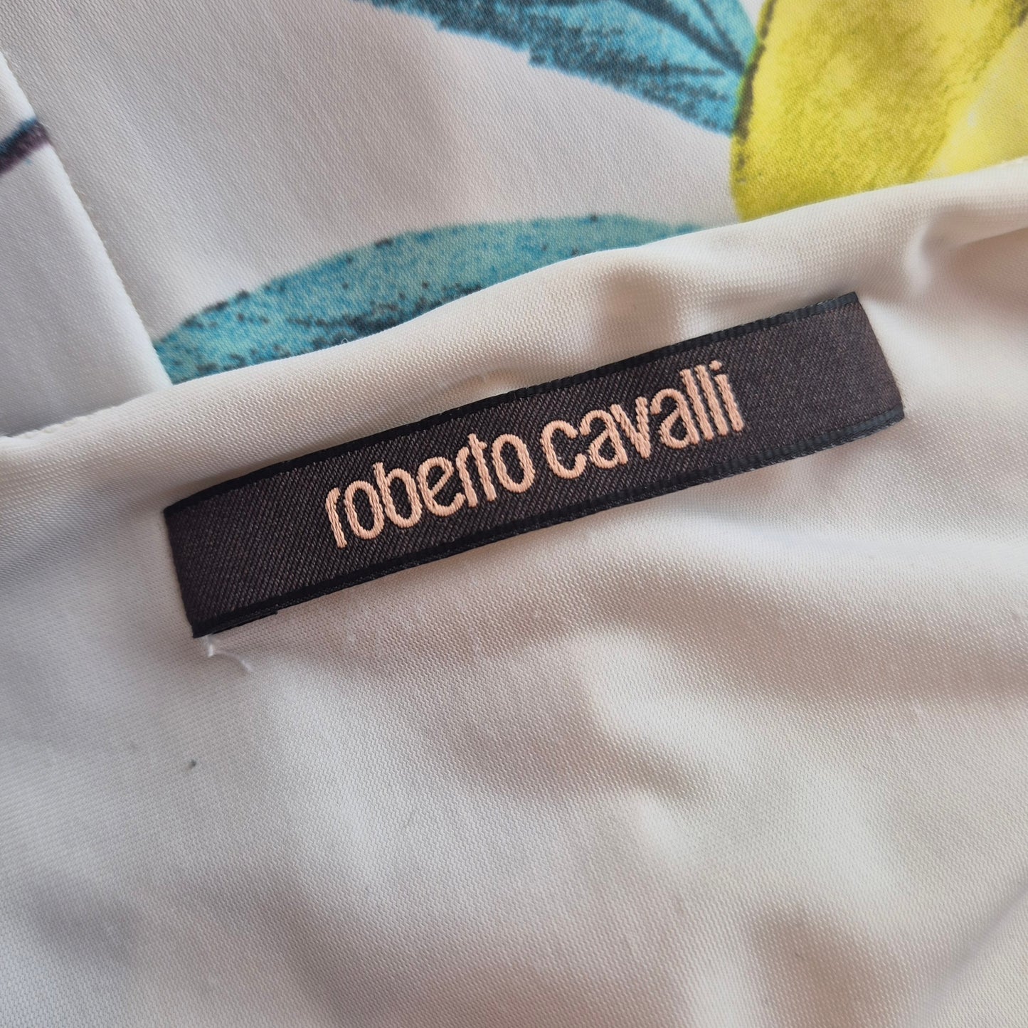 Roberto Cavalli | Abito stampa fiori e susine
